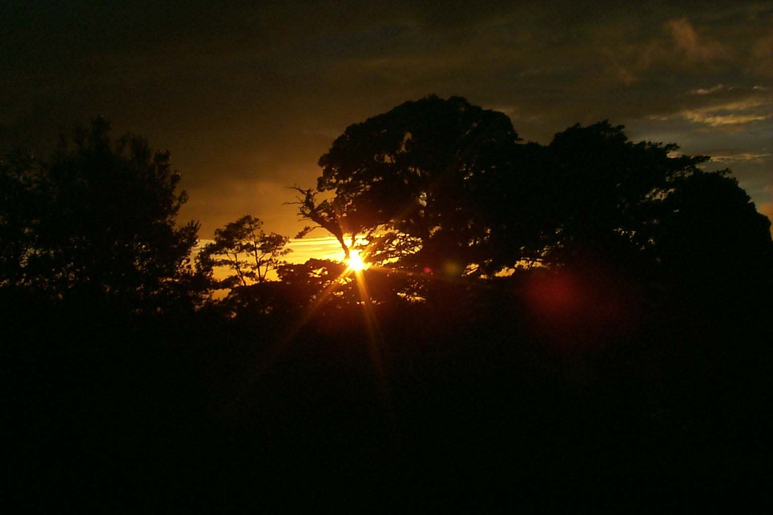 CR99_RainForestSunset1.jpg (67679 bytes)