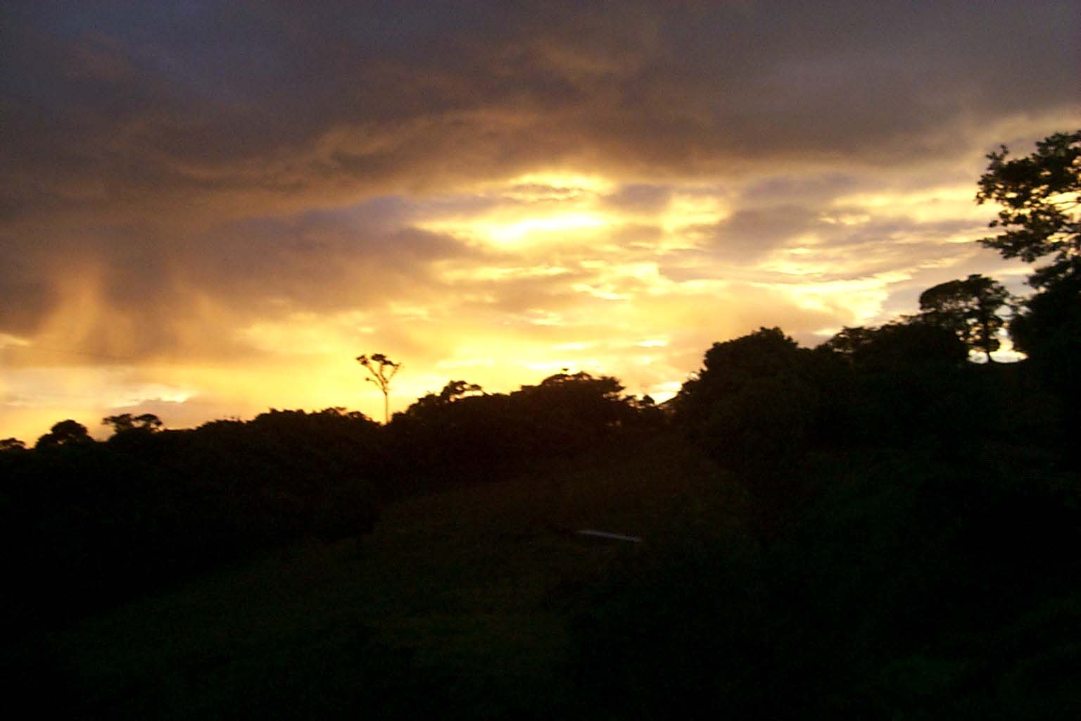 CR99_RainForestSunset6.jpg (70648 bytes)